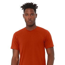 Bella+Canvas 3413 Triblend Tee